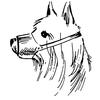 JorVet Leather Muzzles