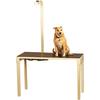 XRT300 Compact X-ray Table