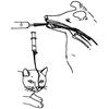 Small Animal Feeding Tube