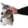 JorVet™ Aspheric Indirect Viewing Lens