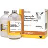 One Shot® Bacterin-Toxoid